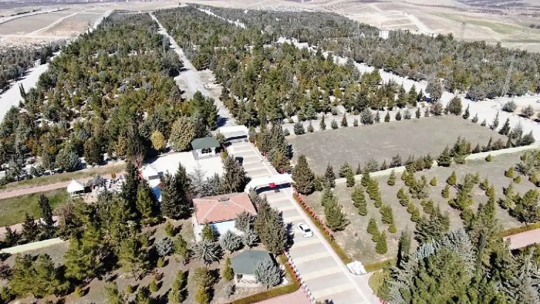 Şehir Mezarlığında Peyzaj Çalışması