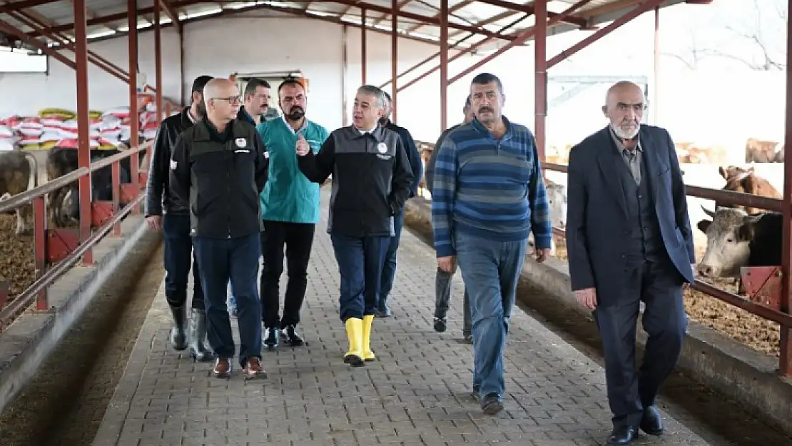 Suni Tohumlamadan İlk Malak Doğdu