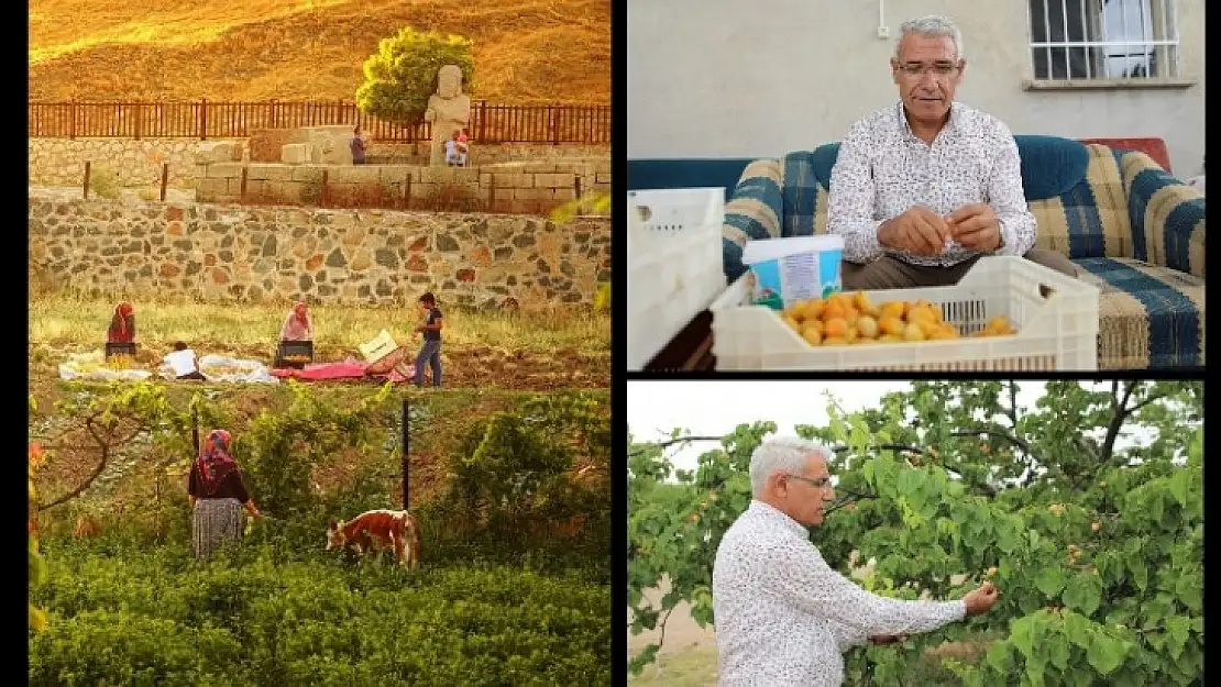 Ulusal Battalgazi Kayısı Hasadı Fotoğraf Yarışması Maratonu Sonuçlandı