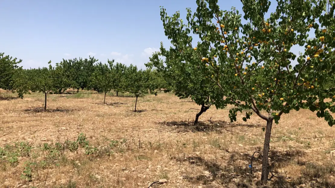 Yaka Mahallesi ( Köyü ) Çiftçilerinden Sulama Suyu Tepkisi