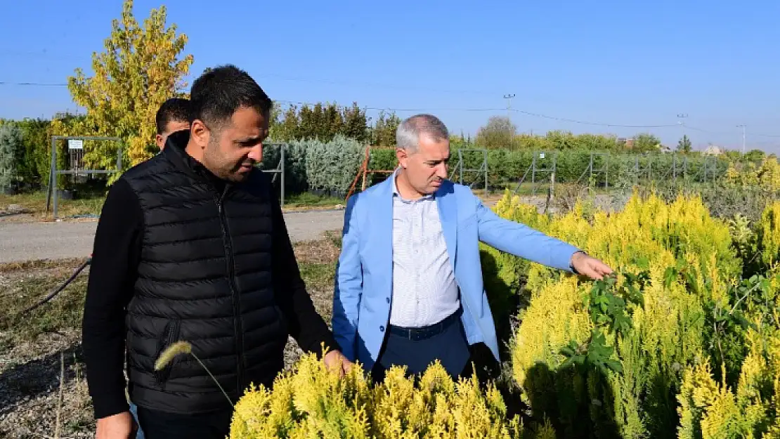 Yeşilyurt Belediyesi Fidanlık Alanı '11 Kasım Milli Ağaçlandırma Günü' Etkinliklerine Hazırlanıyor