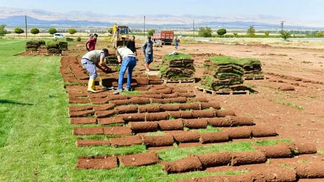 Yeşilyurt Belediyesi Rulo Çim Üretiminde Lider