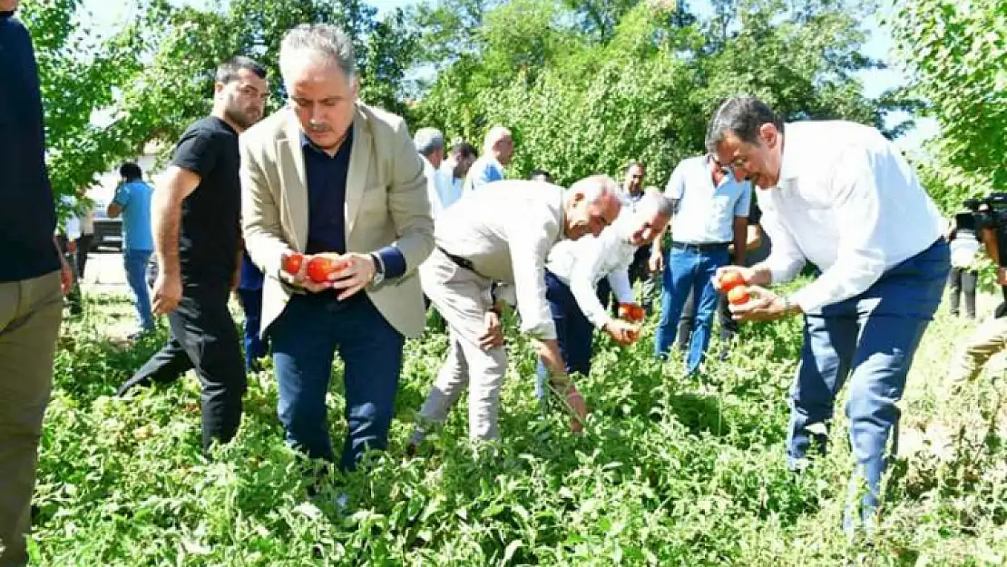 Yeşilyurt Belediyesinden' Fideler Bizden, Hasat Sizden' Projesi