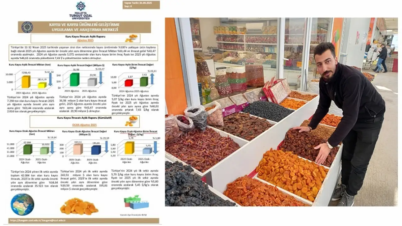 Kayısıda Tehlike Çanları: 2025 Yılı Ağustos Ayı Kuru Kayısı Dış Ticaret Raporu Yayımlandı