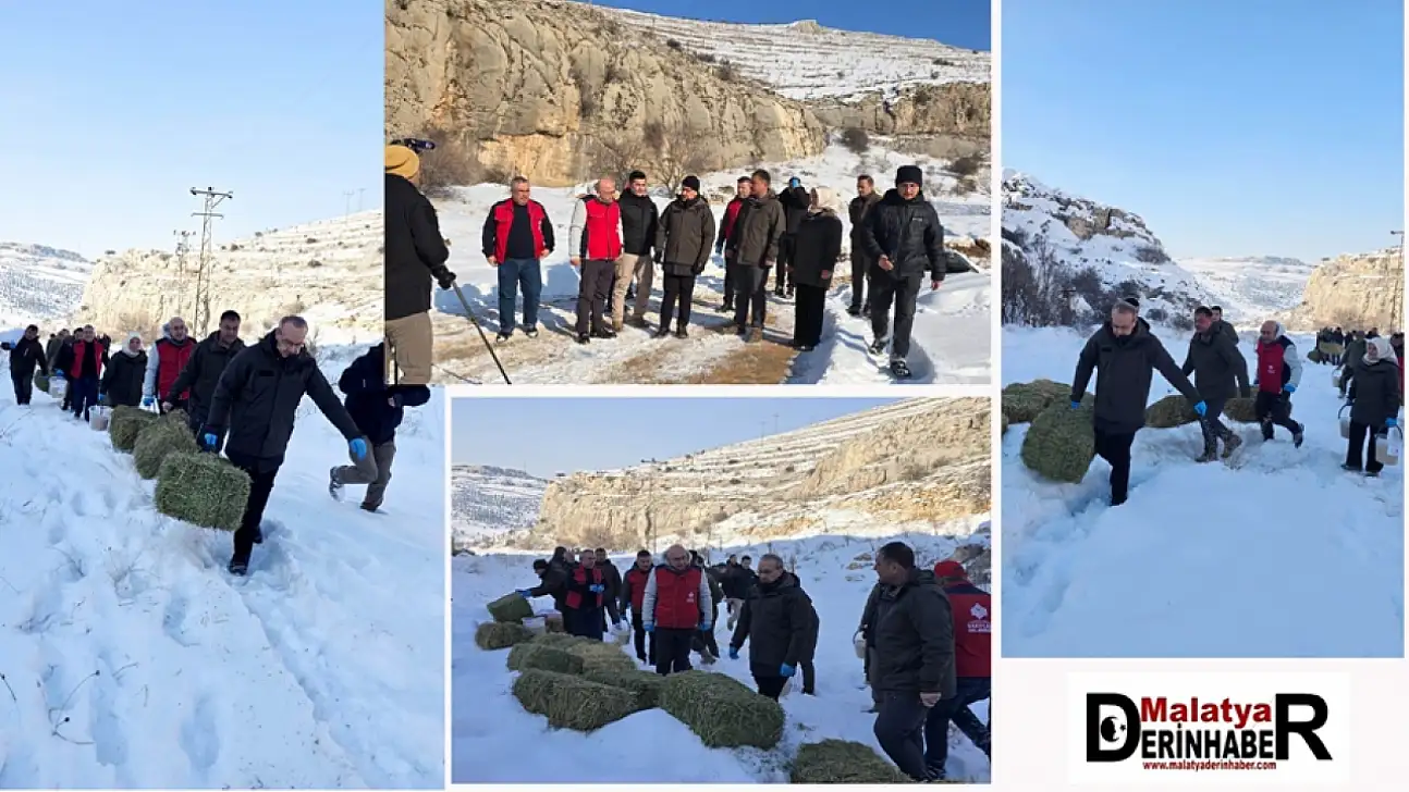 Malatya'da Yaban Hayvanlarına Zorlu Kış Günlerinde Şefkat Eli