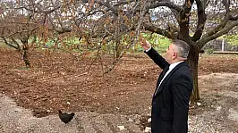 Verilecek Destekler Sadece Kayısıyı Değil Şehrimizin Geleceğini İlgilendiriyor