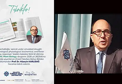 Kayısıda Bilimsel Devrim: MTÜ'den Dünya Çapında Akademik Başarı