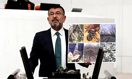 Ağbaba: Tüm Meyveler Tamamen Yanmış Daha Neyin Tespiti Yapılıyor?