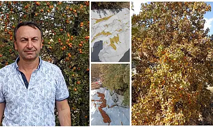 Akçadağ Dağlarının Alıç'ı Şifa Saçıyor