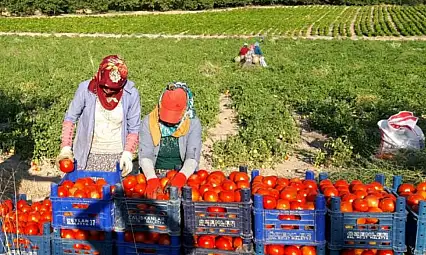 Bitkisel ve Hayvansal Üretim Desteklemeleri Açıklandı
