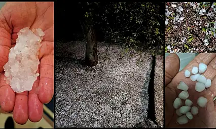 Kayısıyı Dolu Vurdu