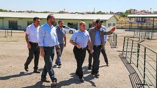 Başkan Gürkan Canlı Hayvan Pazarını İnceledi