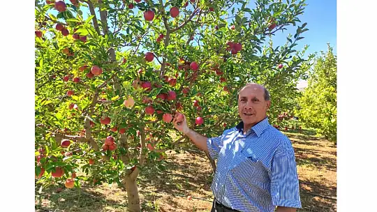 Esenlik'ten Tarladan Sofralarınıza Gelen Lezzetler