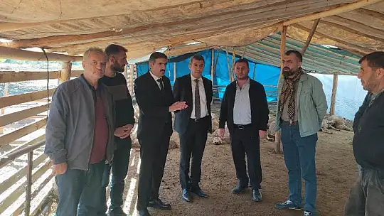 Yazıhan'da Kurt Sürüye Daldı 42 Hayvan Telef Oldu