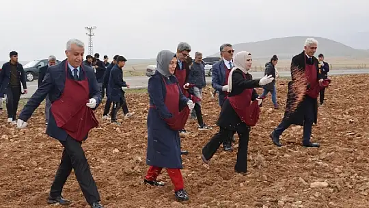 Yazıhan İlçesinde 99 Dönüm Alana Buğday Dikimi