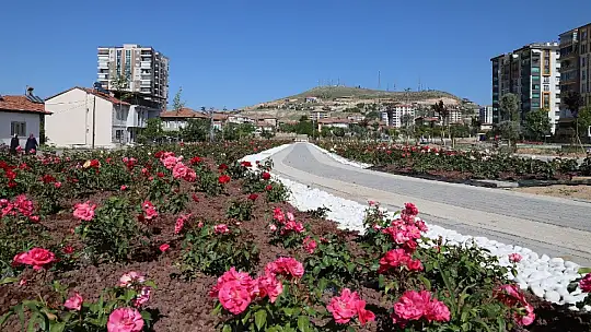 'Yılın 365 Günü Aynı Heyecan ve Tempo İle Çalışıyoruz'
