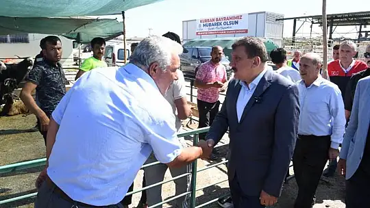 Başkan Gürkan Canlı Hayvan Pazarında İncelemelerde Bulundu