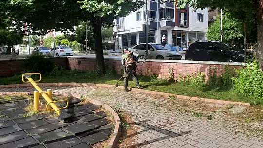 Büyükşehir Belediyesi Parkları ve Refüjleri Yeniliyor