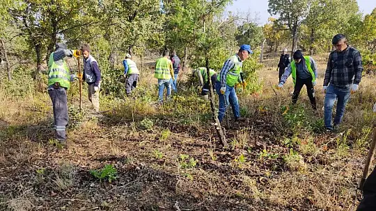 Doğanşehir Belediyesi 39 Mahallede Mezarlık Temizliği Yapıyor