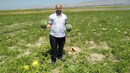 Ağılyazı'da Karpuz Hasadı