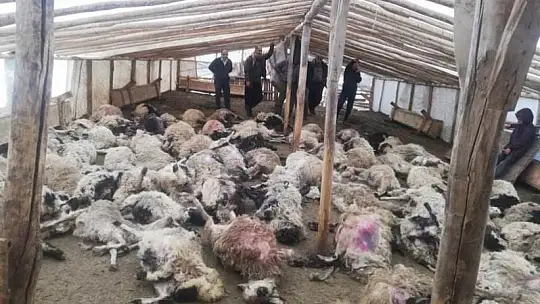CHP İl Başkanı Kiraz'dan Mağdur Üreticiye Ziyaret