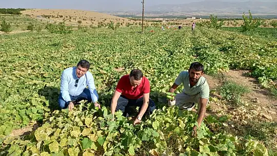Akçadağ'da Uzman Çavuşluktan Çiftçiliğe