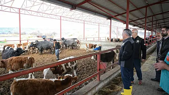 Suni Tohumlamadan İlk Malak Doğdu