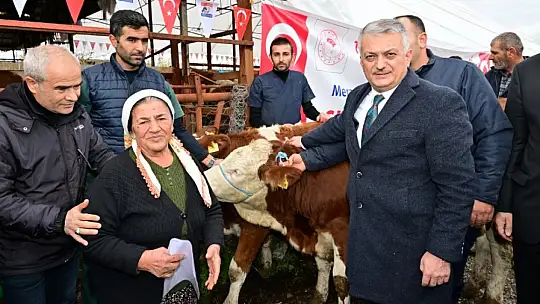Depremzede Üreticilere Büyükbaş Hayvan ve Sıvat Dağıtımı