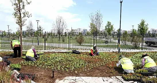 Büyükşehir Şehri Yazlık Çiçeklerle Donatıyor