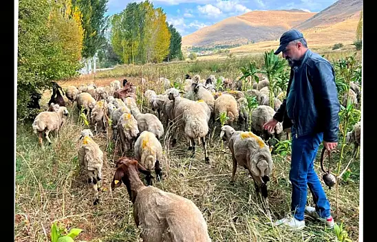 Akın: Sizi Gidi Seviyesizler Sizi!