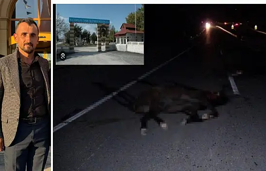 Anahtar Parti Akçadağ İlçe Başkanı Tahsin Çakırdım: Konunun Takipçisiyiz!