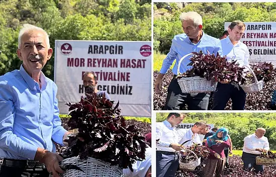 Arapgir'de Mor Reyhan Hasadı Coşkusu