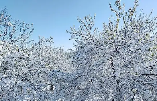 Bakan Yumaklı: TARSİM Sigortası Olanlar Ödemelerini Alacak!