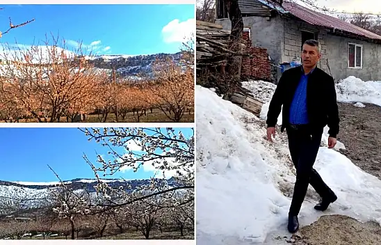 Başkan Gönültaş: Soğuk Hava Akçadağlı Kayısı Üreticisini Vurdu!