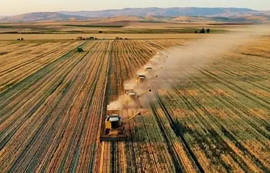 Çiftçilere Yeni Destek Müjdesi
