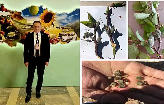 Dal Dondu Umut Kırıldı: Malatya'nın Sesi Duyulmalı