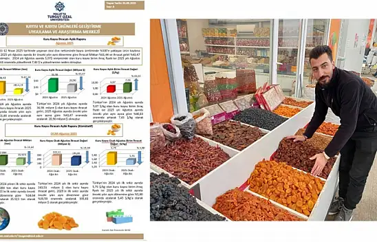 Kayısıda Tehlike Çanları: 2025 Yılı Ağustos Ayı Kuru Kayısı Dış Ticaret Raporu Yayımlandı