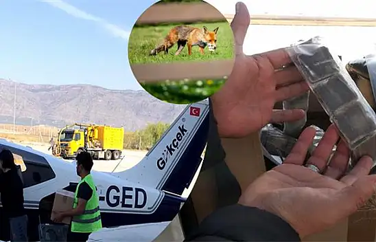 Kuduzla Mücadelede Havalı Çözüm