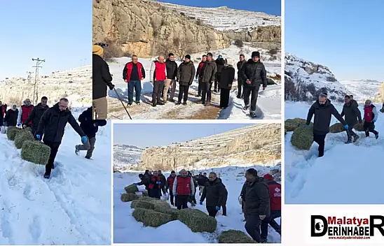 Malatya'da Yaban Hayvanlarına Zorlu Kış Günlerinde Şefkat Eli