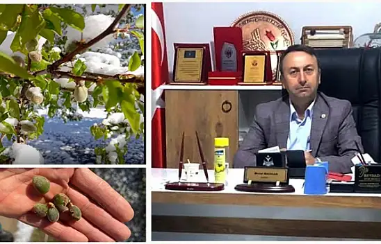 Maskar: Kayısı Üreticisi Can Çekişmektedir