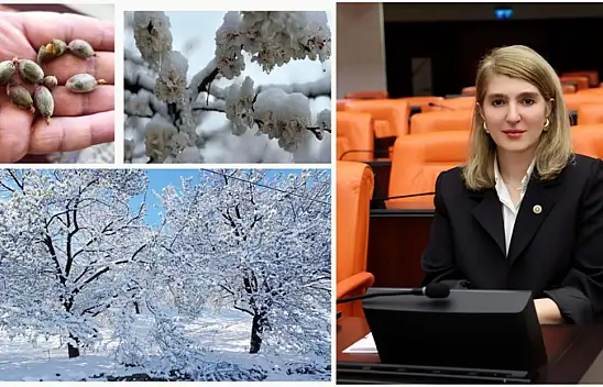 Milletvekili Ölmeztoprak: Kayısı Üreticilerimiz İçin Ne Gerekiyorsa Yapılacak