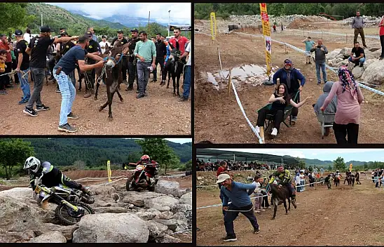 Motokros Heyecanı, Eşek Yarışları, Kadınların El Arabası Yarışı