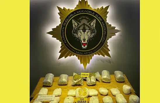 Hassas Burun Bonita'dan Kaçamadılar