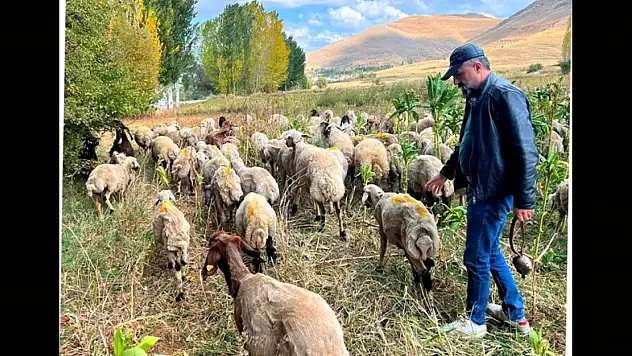 Akın: Sizi Gidi Seviyesizler Sizi!