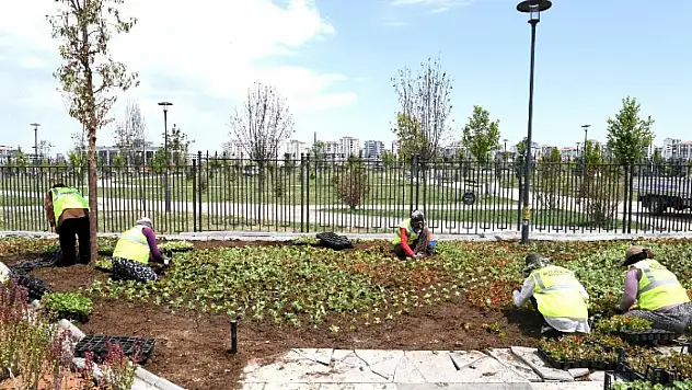 Büyükşehir Şehri Yazlık Çiçeklerle Donatıyor