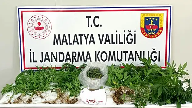 Jandarma'dan Şok Baskın