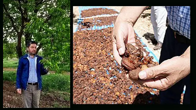 Uyarı Kiraz'dan Geldi: Malatya Ekonomisi Bir Bütün Olarak Çökme Arifesinde!