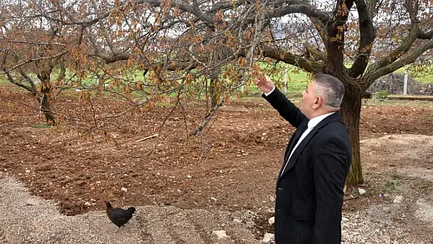 Verilecek Destekler Sadece Kayısıyı Değil Şehrimizin Geleceğini İlgilendiriyor