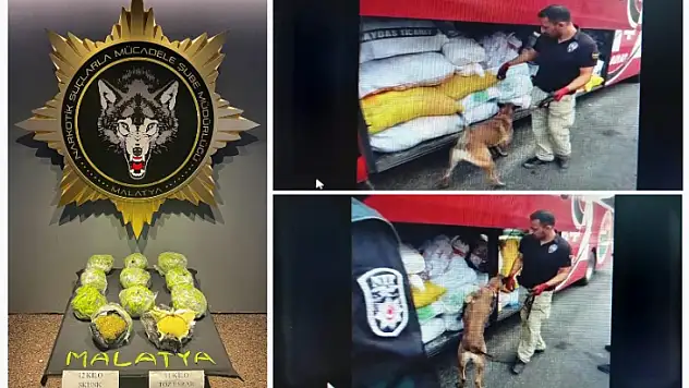 Yolcu Otobüsündeki Uyuşturucu Bonita'dan Kaçamadı