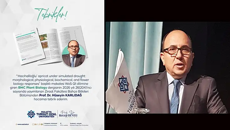 Kayısıda Bilimsel Devrim: MTÜ’den Dünya Çapında Akademik Başarı